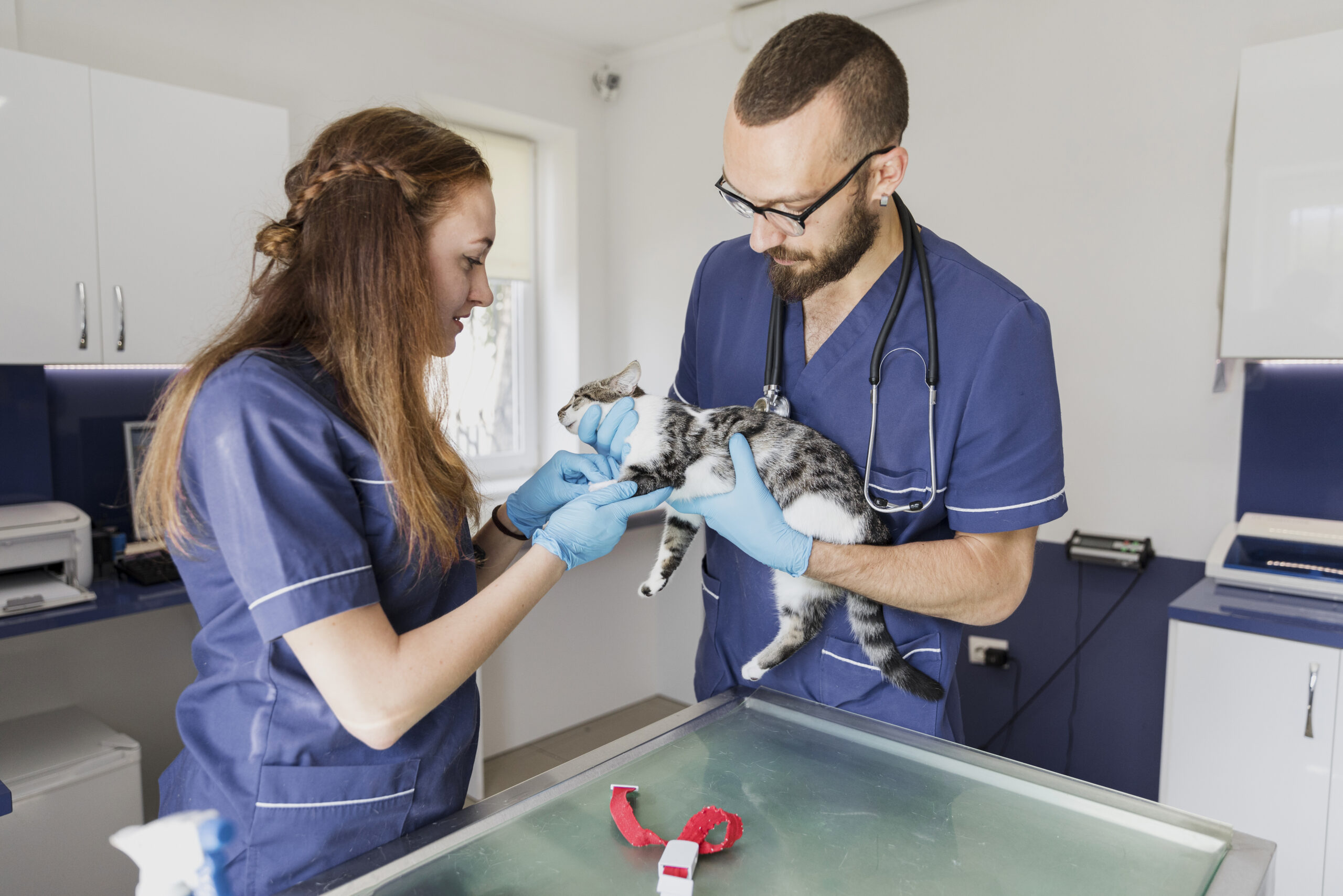 Veterinary professional explaining the key differences between vet assistants and vet techs in a clinic setting